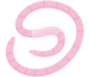 Illustration of a pink earthworm coiled in a spiral shape.