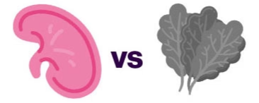 Illustration of a kidney versus leafy greens.