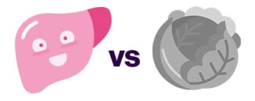 Cartoon liver and brain with 'vs' text in between on white background.