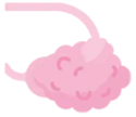 Pink alveoli structure representing lung anatomy.