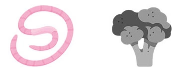 Illustration of a pink worm and a black and gray broccoli head.