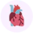 Illustration of a human heart with arteries and veins.