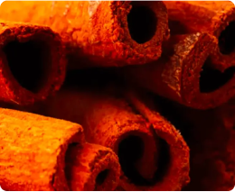 Close-up of cinnamon sticks in a pile.