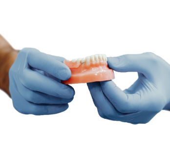 Two gloved hands holding dental prosthetics.