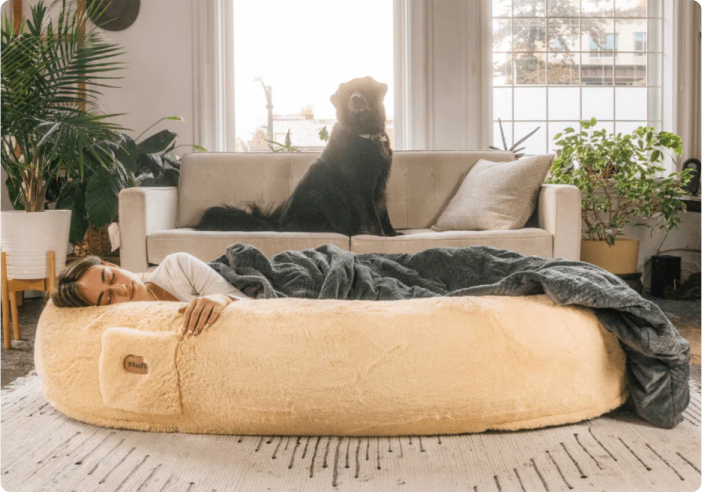 Person sleeping in a large, plush bed with a dog sitting on a sofa behind.