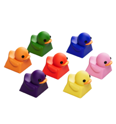 Seven colorful rubber ducks arranged in a semicircle.