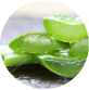 Slices of fresh aloe vera gel on a smooth surface.