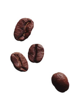 Four roasted coffee beans on a white background.