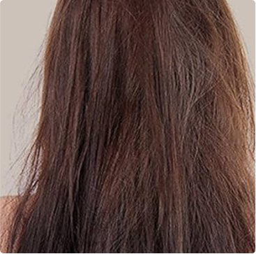 Back view of long, straight brown hair.