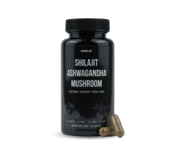 Bottle of Shilajit Ashwagandha Mushroom capsules with two capsules beside it.