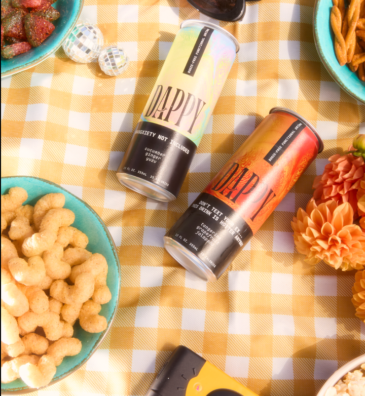 Picnic setup with snacks, canned drinks, sunglasses, and a camera on a checkered cloth.