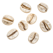 Eight white coffee beans arranged on a white background.