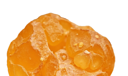 A close-up of a glistening, amber-colored gummy candy.