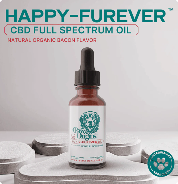 CBD oil bottle with dropper, labeled 'Happy-Furever,' bacon flavor, veterinarian approved.