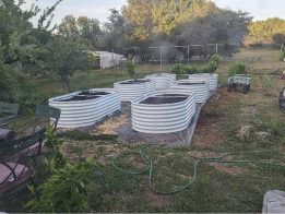 Raised garden beds in a backyard with metal frames and surrounding greenery.