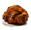 A large brown truffle on a white background.