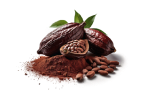 Cocoa pods, beans, and powder with green leaves nearby.